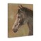 Stupell Industries Neutral Brown Horse Canvas Wall Art Design by Ethan Harper